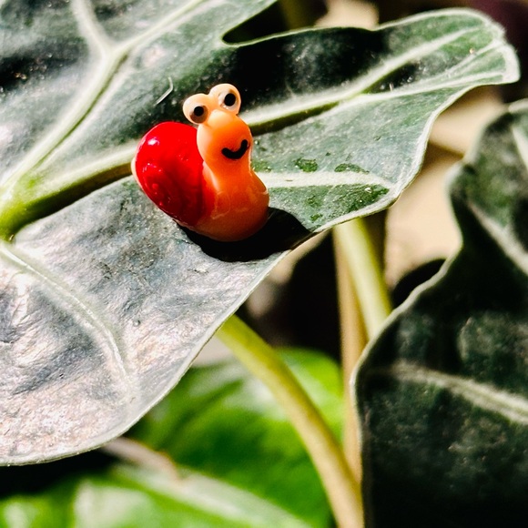 - 🍃20 pack plant magnets🍃 - Picture 8 of 15